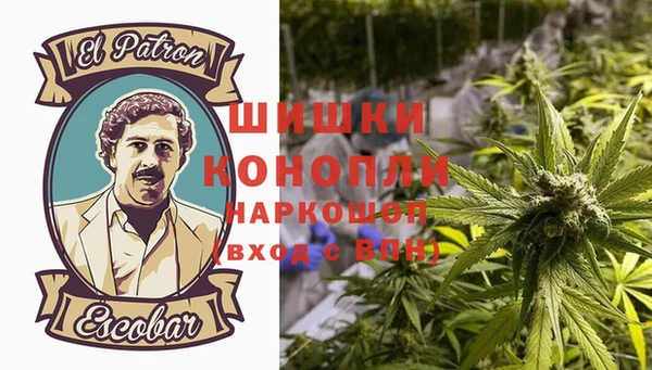 PSILOCYBIN Дегтярск