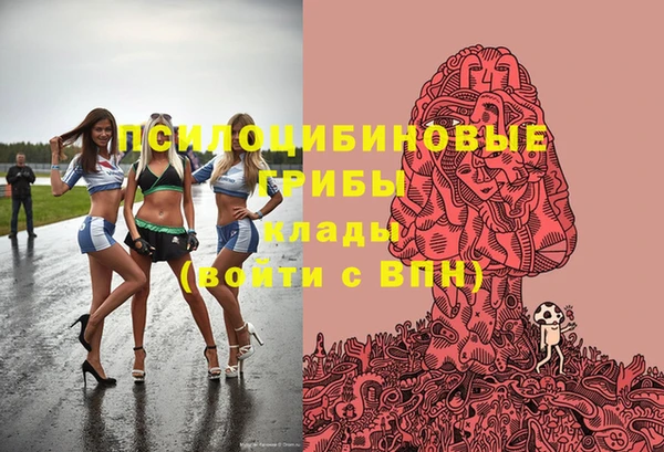 mdpv Алзамай