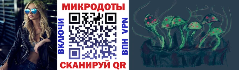 Галлюциногенные грибы Cubensis  Болгар 