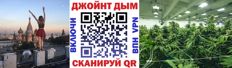 Канабис VHQ  площадка состав  Болгар 